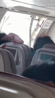 韩国老哥200米高空强开飞机舱门:类似的狼人还真不少!